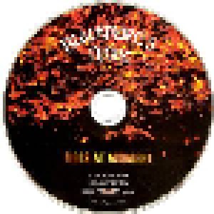 Blackmore's Night: Fires At Midnight (CD) - Bild 8