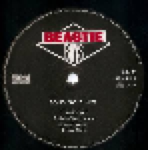 Beastie Boys: Solid Gold Hits (2-LP) - Bild 5