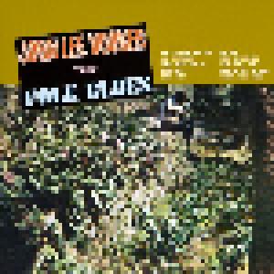 John Lee Hooker: Folk Blues - Cover