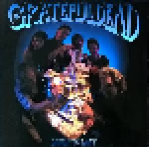Grateful Dead: Built To Last (LP) - Bild 1