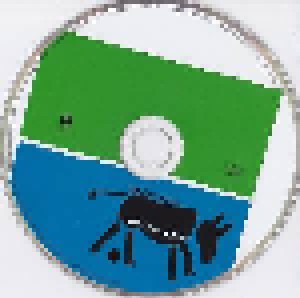 Tindersticks: Donkeys 92-97 (CD) - Bild 3