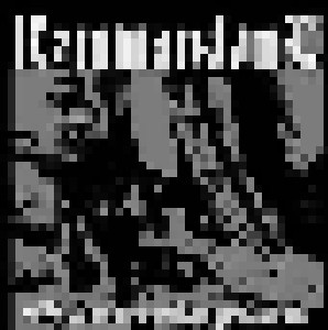 Cover - Kommandant: Stormlegion