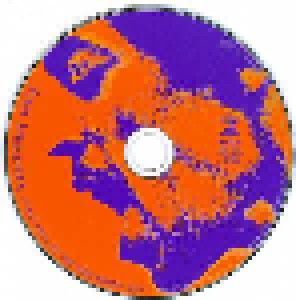 Jimi Hendrix: First Rays Of The New Rising Sun (CD) - Bild 3