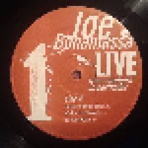 Joe Bonamassa: Live From Nowhere In Particular (3-LP) - Bild 3