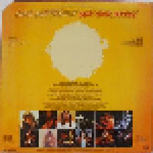 Iron Butterfly: Sun And Steel (LP) - Bild 2