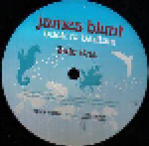 James Blunt: Back To Bedlam (LP) - Bild 2