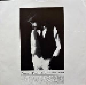 Dan Fogelberg: Windows And Walls (LP) - Bild 4