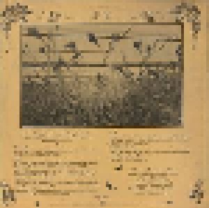 Leo Kottke: Greenhouse (LP) - Bild 2