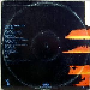 Steely Dan: Greatest Hits 1972-1978 (2-LP) - Bild 2