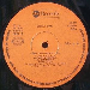 Steely Dan: Greatest Hits 1972-1978 (2-LP) - Bild 3
