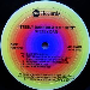 Steely Dan: Greatest Hits (2-LP) - Bild 3