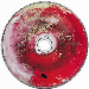 Sonic Youth: The Eternal (CD) - Bild 3