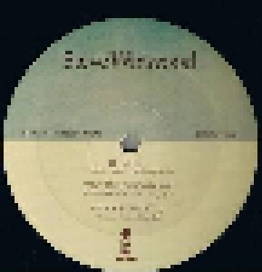 Steve Winwood: Steve Winwood (LP) - Bild 3