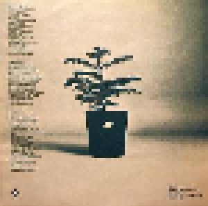 Leo Kottke: Chewing Pine (LP) - Bild 5