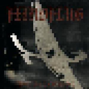Feindflug: 3. Version - Cover