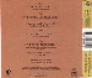 Paul Simon: The Obvious Child (Single-CD) - Bild 2