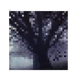 No Pride: Black Bared Trees (CD) - Bild 1