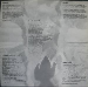 Johnny Tame: Indistinct Horizon (LP) - Bild 3