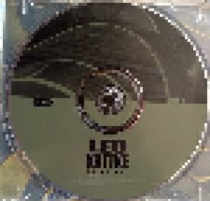 Leo Kottke: The Leo Kottke Anthology (2-CD) - Bild 3