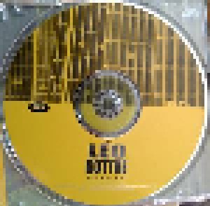 Leo Kottke: The Leo Kottke Anthology (2-CD) - Bild 4