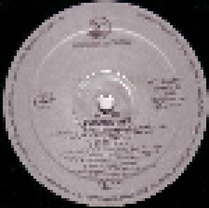 UB40: The UB40 File (LP + 12") - Bild 3