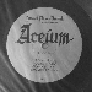 Aceium: Wicked Metal (LP) - Bild 4