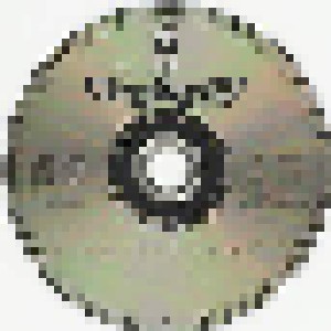 Che & Ray: Boogie Race (CD) - Bild 3