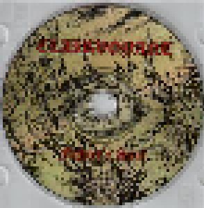 Clairvoyant: Fighter's Soul (CD) - Bild 4