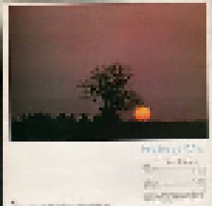 Fleetwood Mac: Bare Trees (LP) - Bild 2