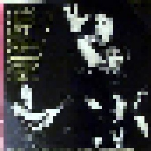 Dio: Roughly (2-LP) - Bild 2