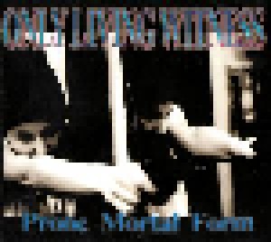 Only Living Witness: Prone Mortal Form (CD) - Bild 1