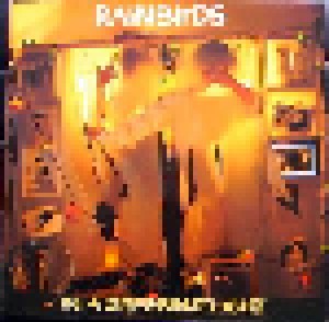Rainbirds: In A Different Light (LP) - Bild 1