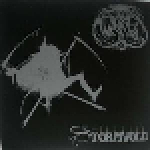 Cover - Molested: Stormvold