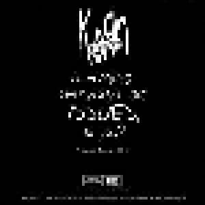 KoЯn: Falling Away From Me (Single-CD) - Bild 2