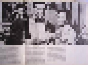 Das Grosse Mario Lanza Album (2-LP) - Bild 2