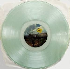 Sonic Youth: Made In USA (LP) - Bild 4