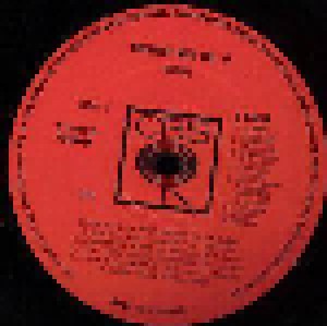 The Byrds: Greatest Hits Vol.2 (LP) - Bild 2