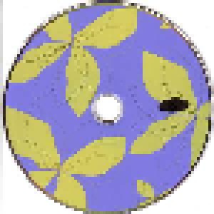 Kristin Hersh: Sunny Border Blue (HDCD) - Bild 3