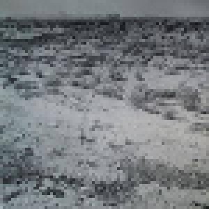 Giant Sand: Ballad Of A Thin Line Man (LP) - Bild 4
