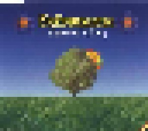 Ooberman: Blossoms Falling (Single-CD) - Bild 1