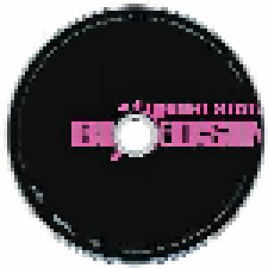 J.B.O.: United States Of Blöedsinn (CD) - Bild 5