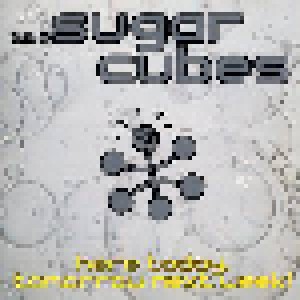 The Sugarcubes: Here Today, Tomorrow Next Week! (CD) - Bild 1