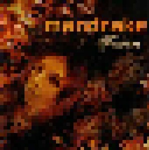 Mandrake: Forever (CD) - Bild 1