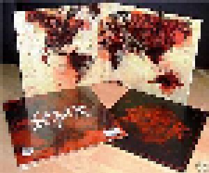 Slayer: World Painted Blood (LP) - Bild 9
