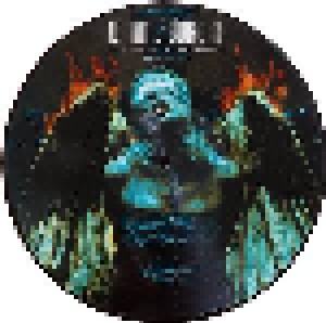 Dimmu Borgir: Spiritual Black Dimensions (PIC-LP) - Bild 3