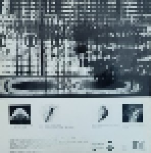 Neil Landstrumm: Understanding Disinformation (2-LP) - Bild 2