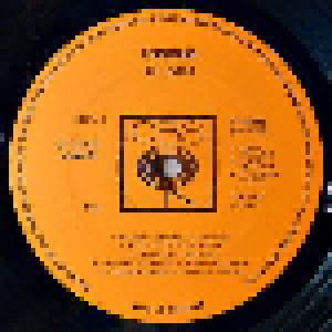The Byrds: Byrdmaniax (LP) - Bild 3
