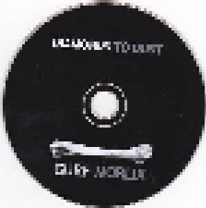 Gurf Morlix: Diamonds To Dust (CD) - Bild 3