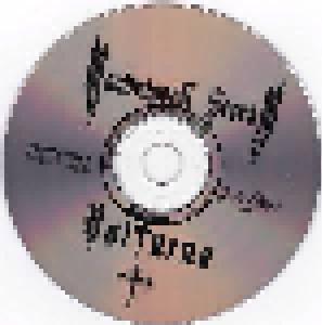 Mandragora Scream: Volturna (CD) - Bild 3
