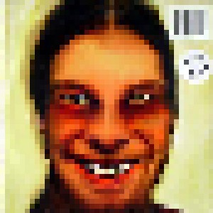Aphex Twin: ...I Care Because You Do (2-LP) - Bild 1